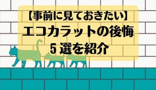 【事前に見ておきたい】エコカラット採用後の後悔５選をブログで紹介